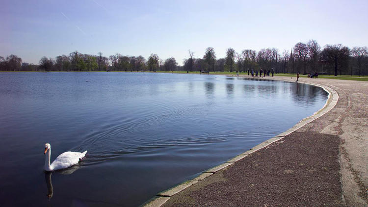 The Round Pond © Greywolf, The Royal Parks