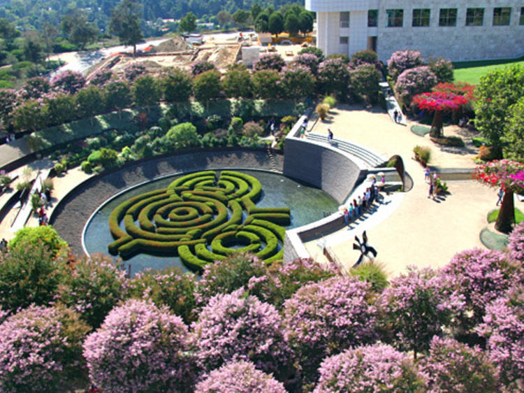 Stroll through a flowery garden