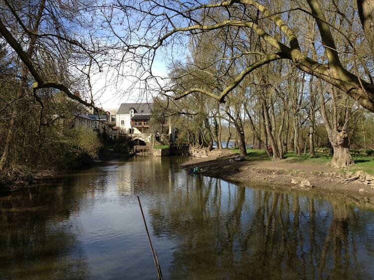 A walk along the river Thouet from Saumur to Saint-Hilaire-Saint-Florent