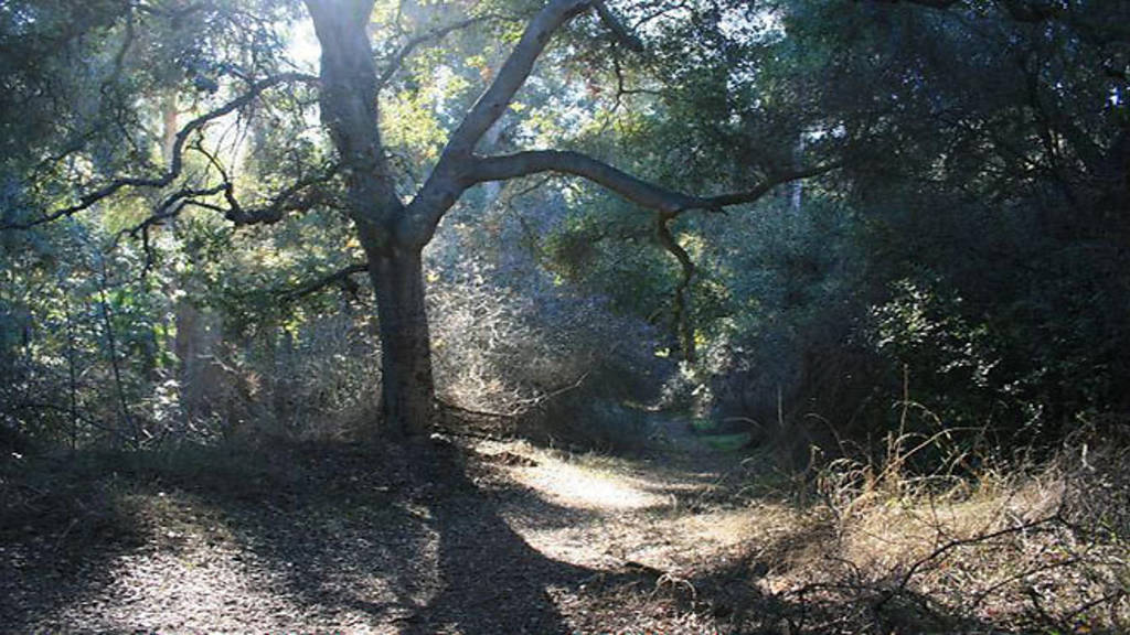 Fryman Canyon Park | Things to do in Studio City, Los Angeles