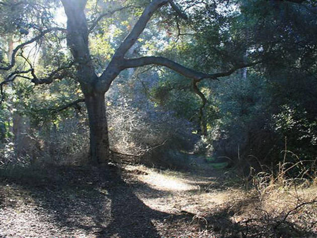 Fryman Canyon Park | Things to do in Studio City, Los Angeles