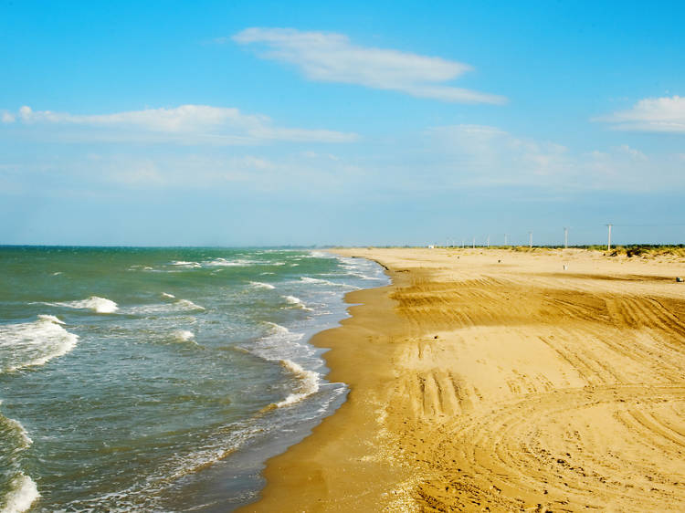 Platja del Trabucador (Sant Carles de la Ràpita)