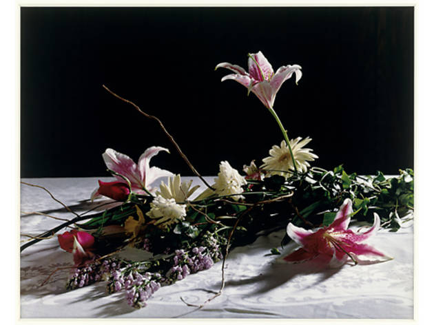 (Photograph: Lorrin and Deane Wong Family Trust; Los Angeles; © Christopher Williams)