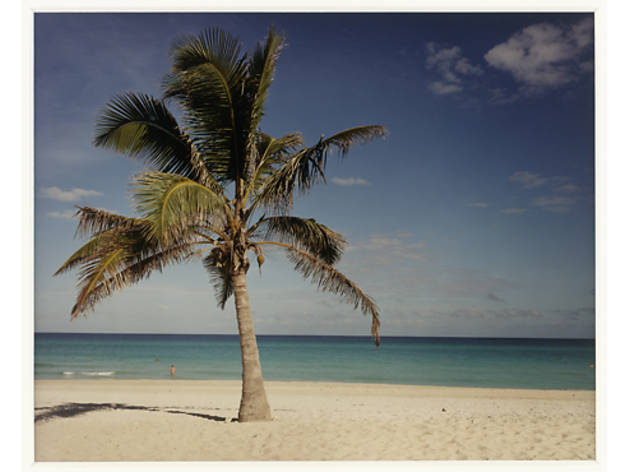 (Photograph: Art Institute of Chicago; © Christopher Williams)