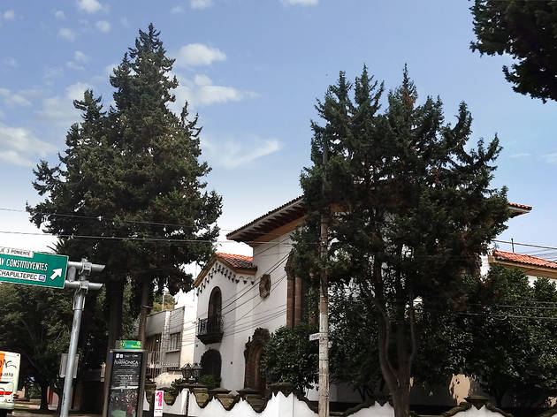 Pinos Pinos