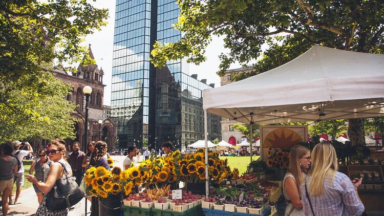 Browse the Copley Square Farmers Market