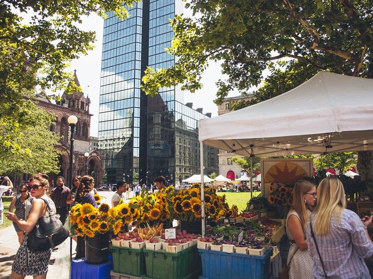 Browse the Copley Square Farmers Market