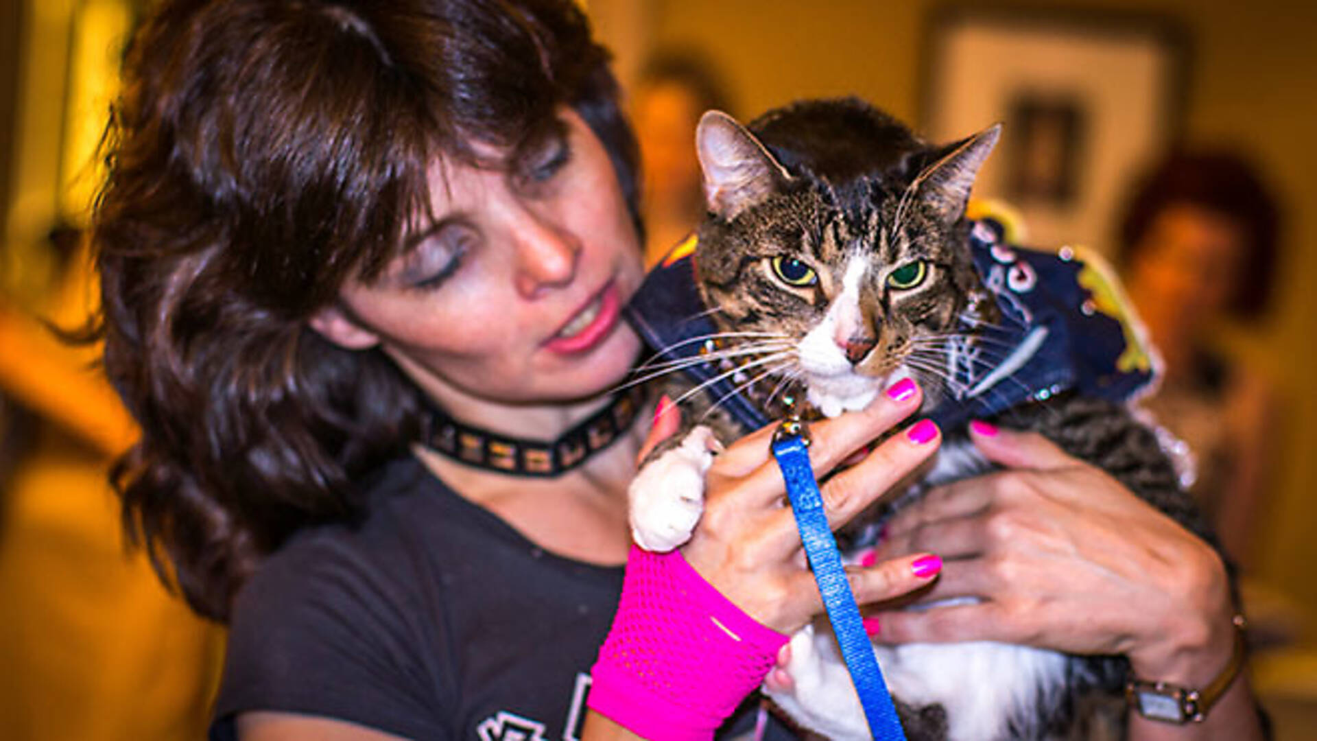 Cat costumes galore! The best photos from the Algonquin's cat fashion show