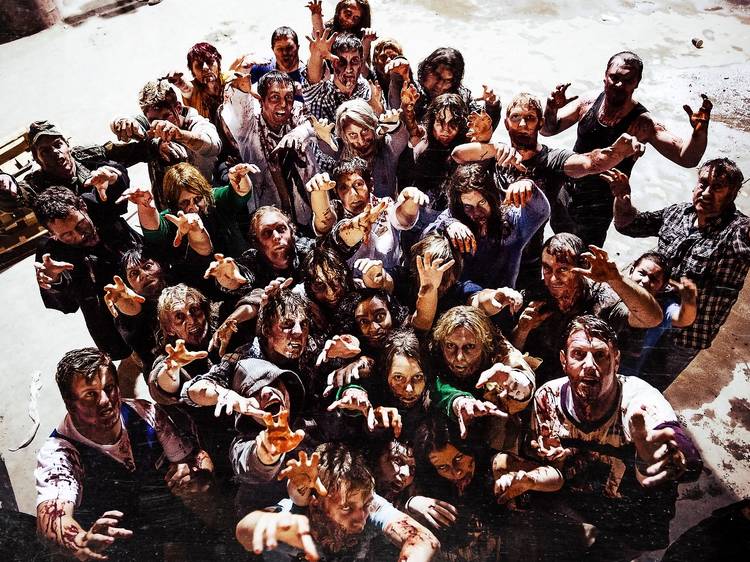  'The Generation of Z'
