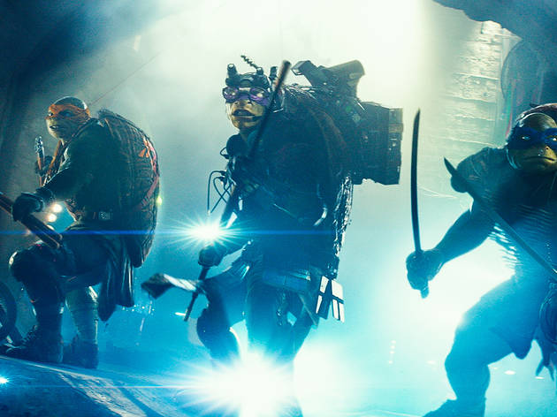 Ninja Turtles Ninja Turtles