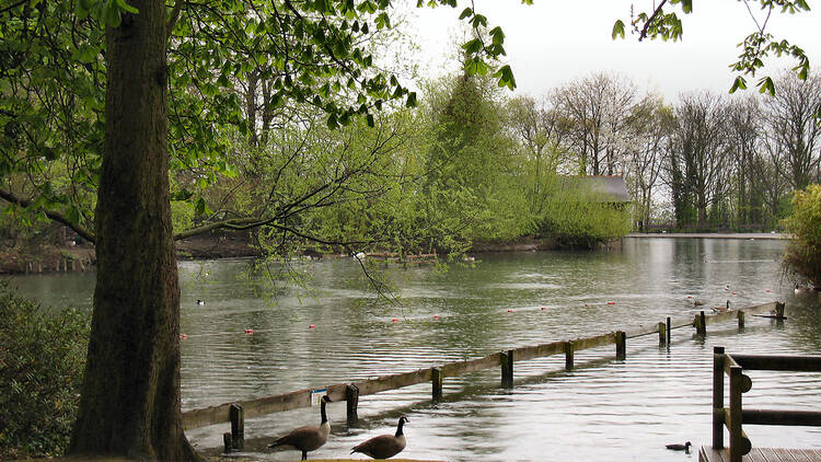 Lakeside Cafe