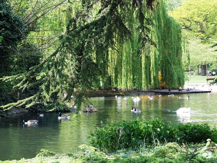 Fait Maison in the Park