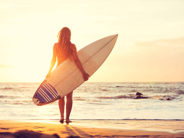 Surf Surf