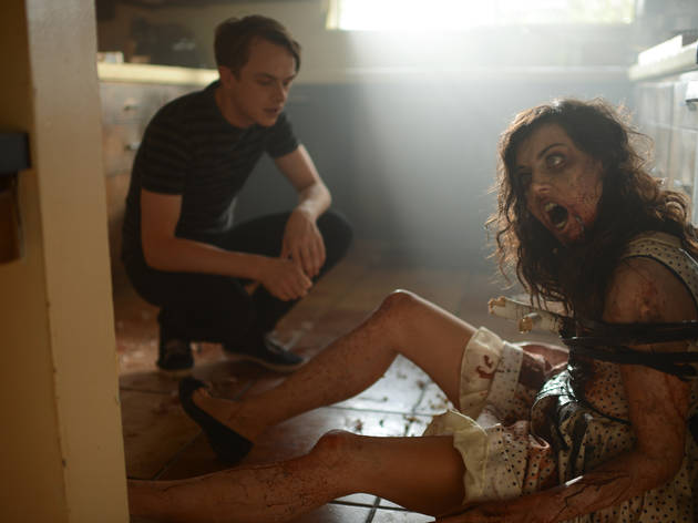 Life After Beth Life After Beth