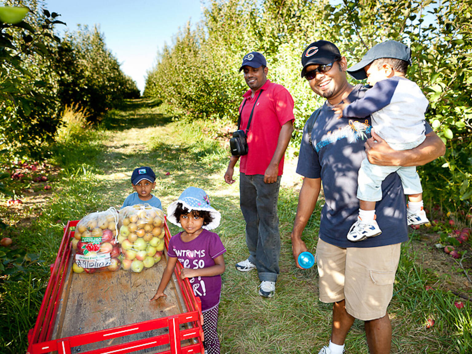 14 Best Places to Go Apple Picking Near Chicago