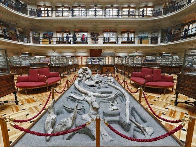 Museo Geominero Museo Geominero