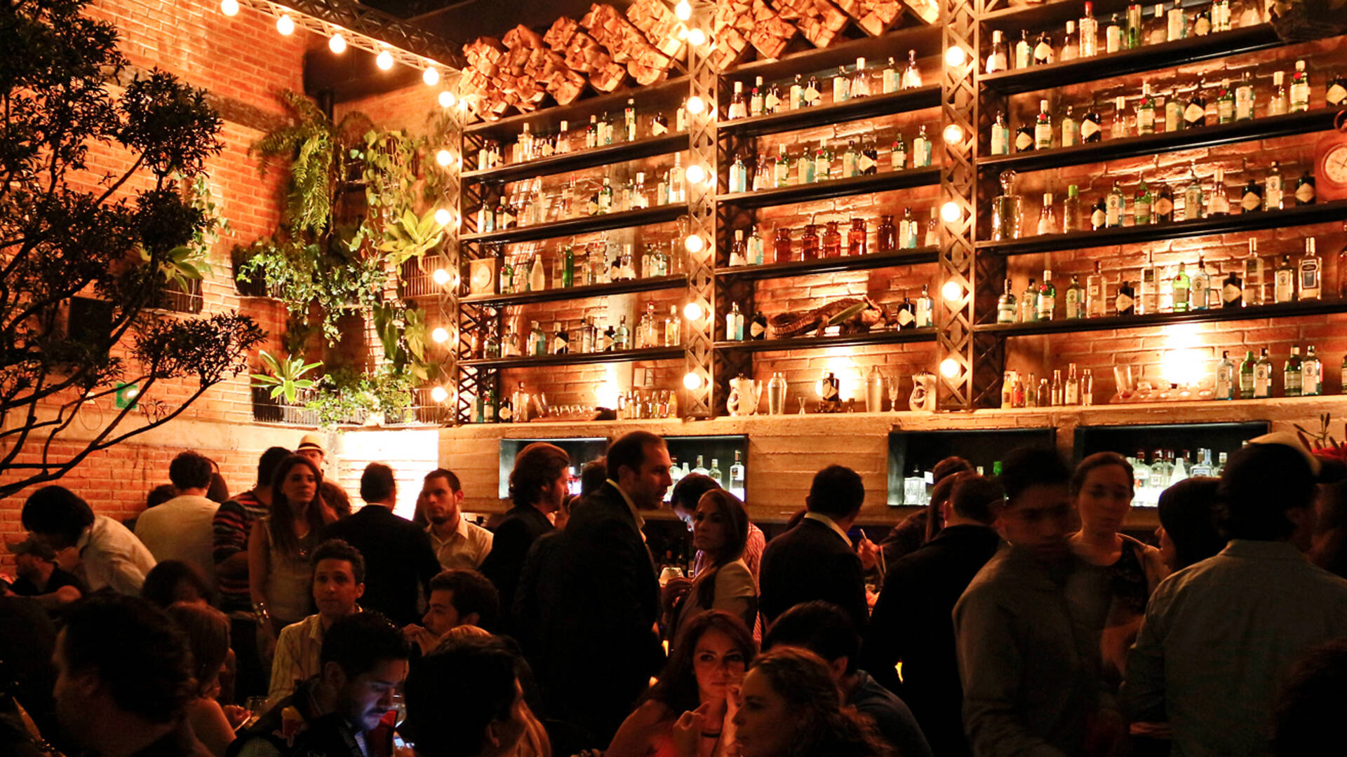 Gin Gin Bars in Roma, Mexico City