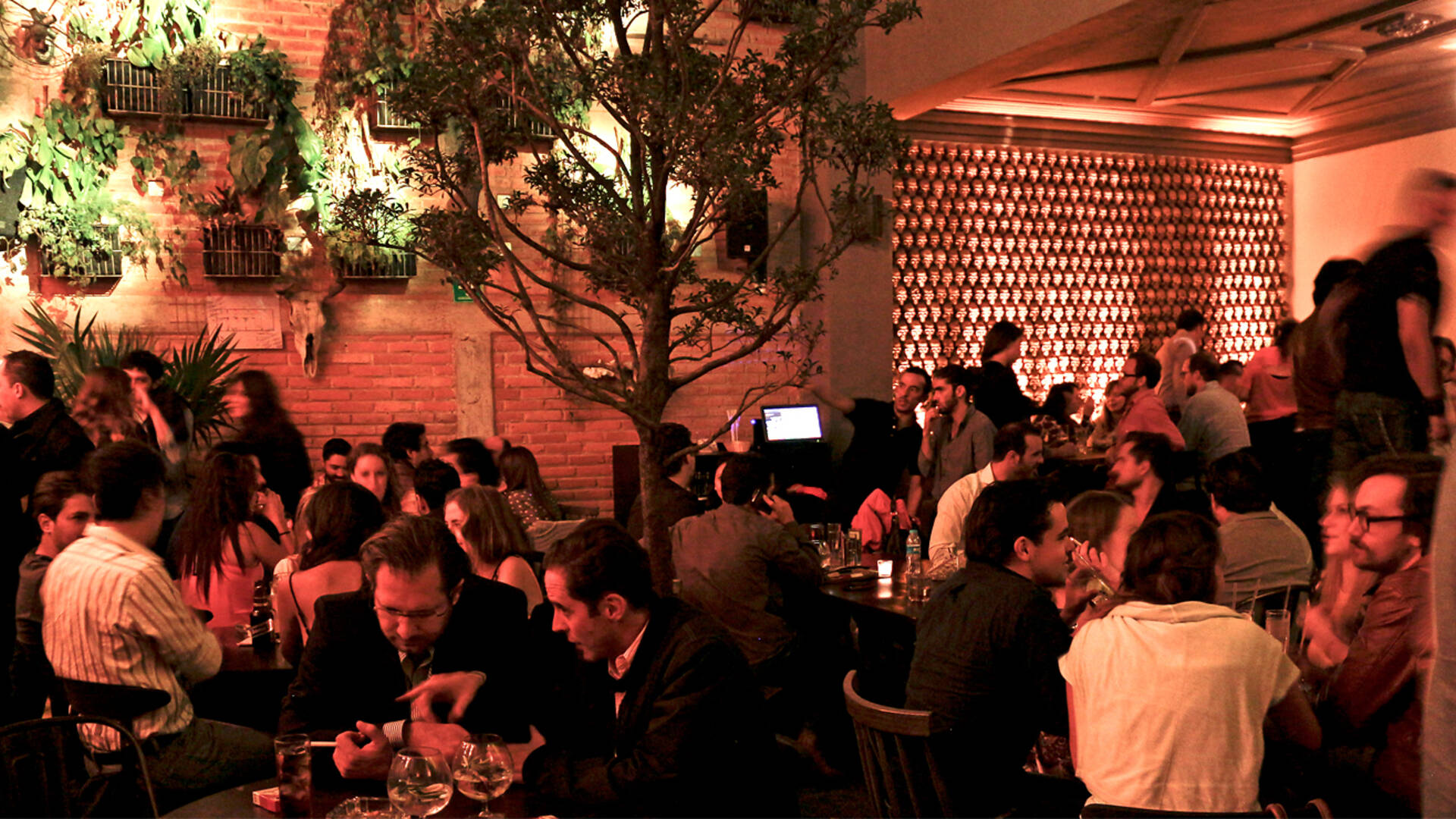 Gin Gin Bars in Roma, Mexico City