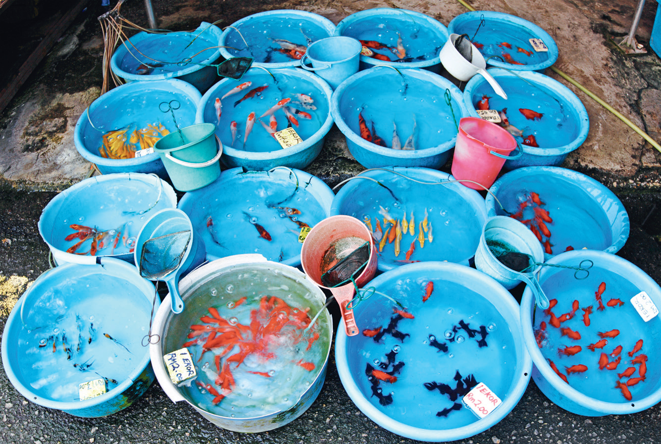 Things to do in Pudu