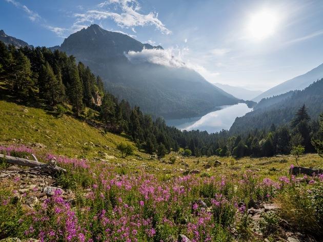 Aigüestortes i Sant Maurici