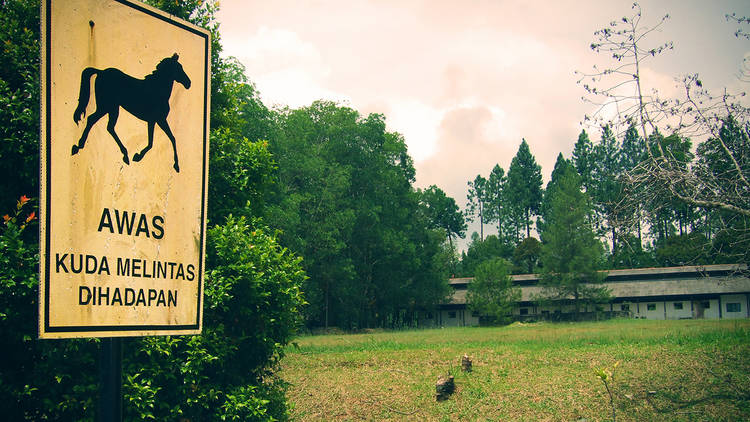 The horse ranch genting