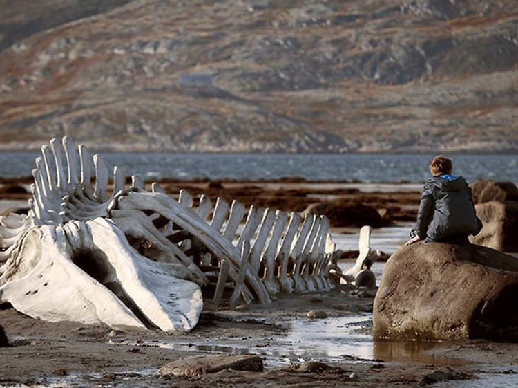 Leviathan (2014)