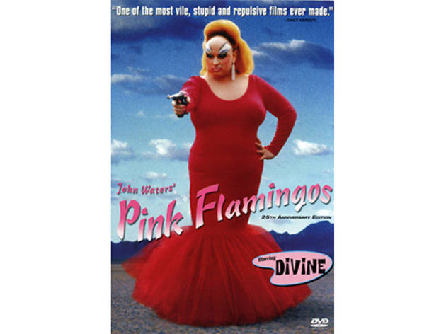 Pink Flamingos Pink Flamingos