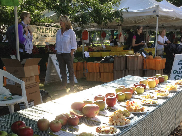 Green City Market Apple Festival