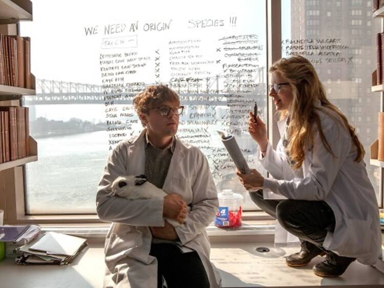 I Origins (by Mike Cahill, with Michael Pitt and Astrid Bergès-Frisbey)