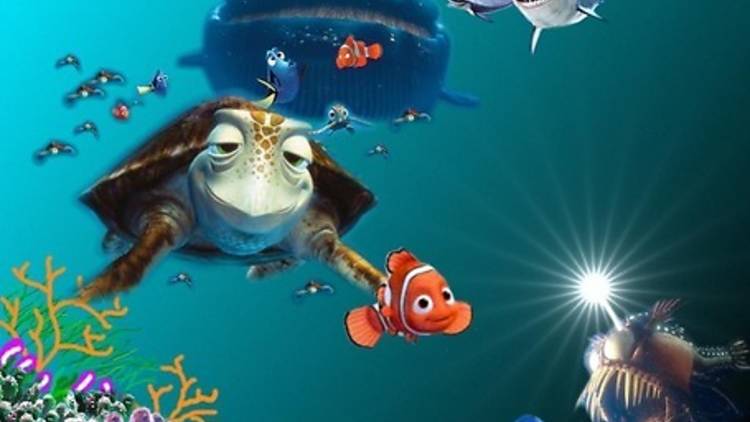 Nemo Nemo
