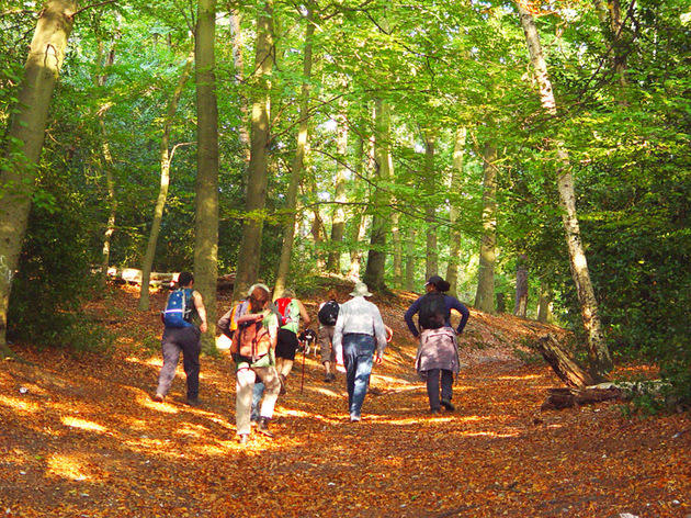 Autumn Ambles Autumn Ambles, free walks in London