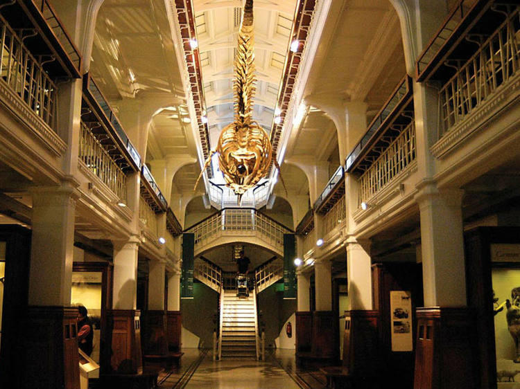 Manchester Museum