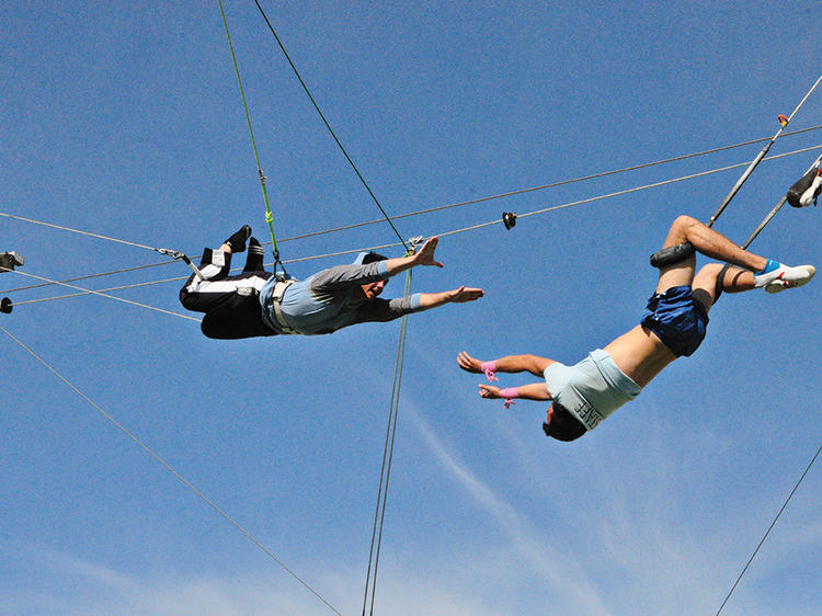 Aerial Trapeze at Trapeze School New York