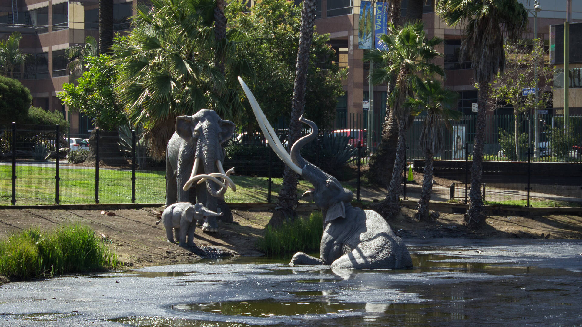 La Brea Tar Pits And Museum | Museums In Miracle Mile, Los Angeles