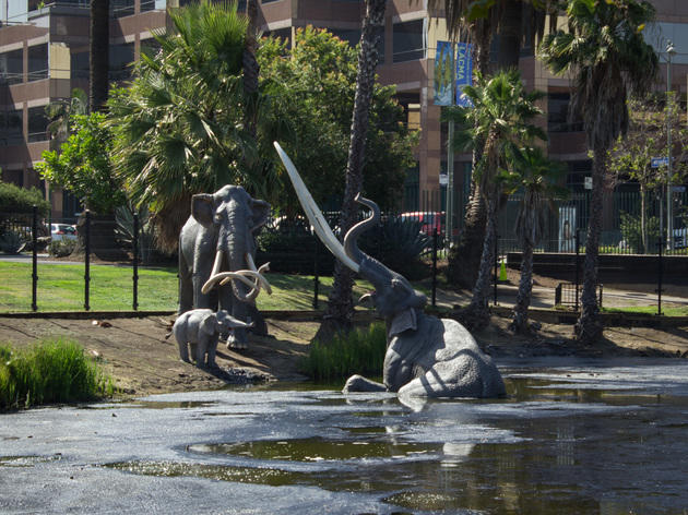 La Brea Tar Pituseum Museums In Miracle Mile Los Angeles La Brea Tar Pits