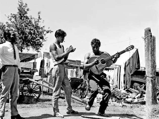 Rumba catalana Rumba catalana