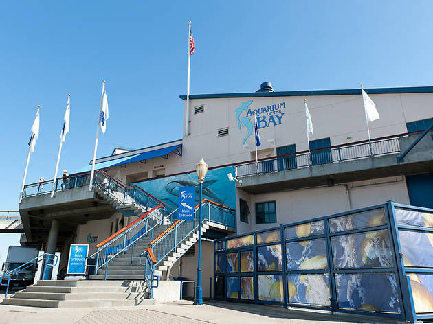 Aquarium of the Bay - Image