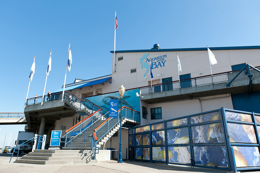 Aquarium of the Bay Things to do in Fisherman's Wharf, San Francisco