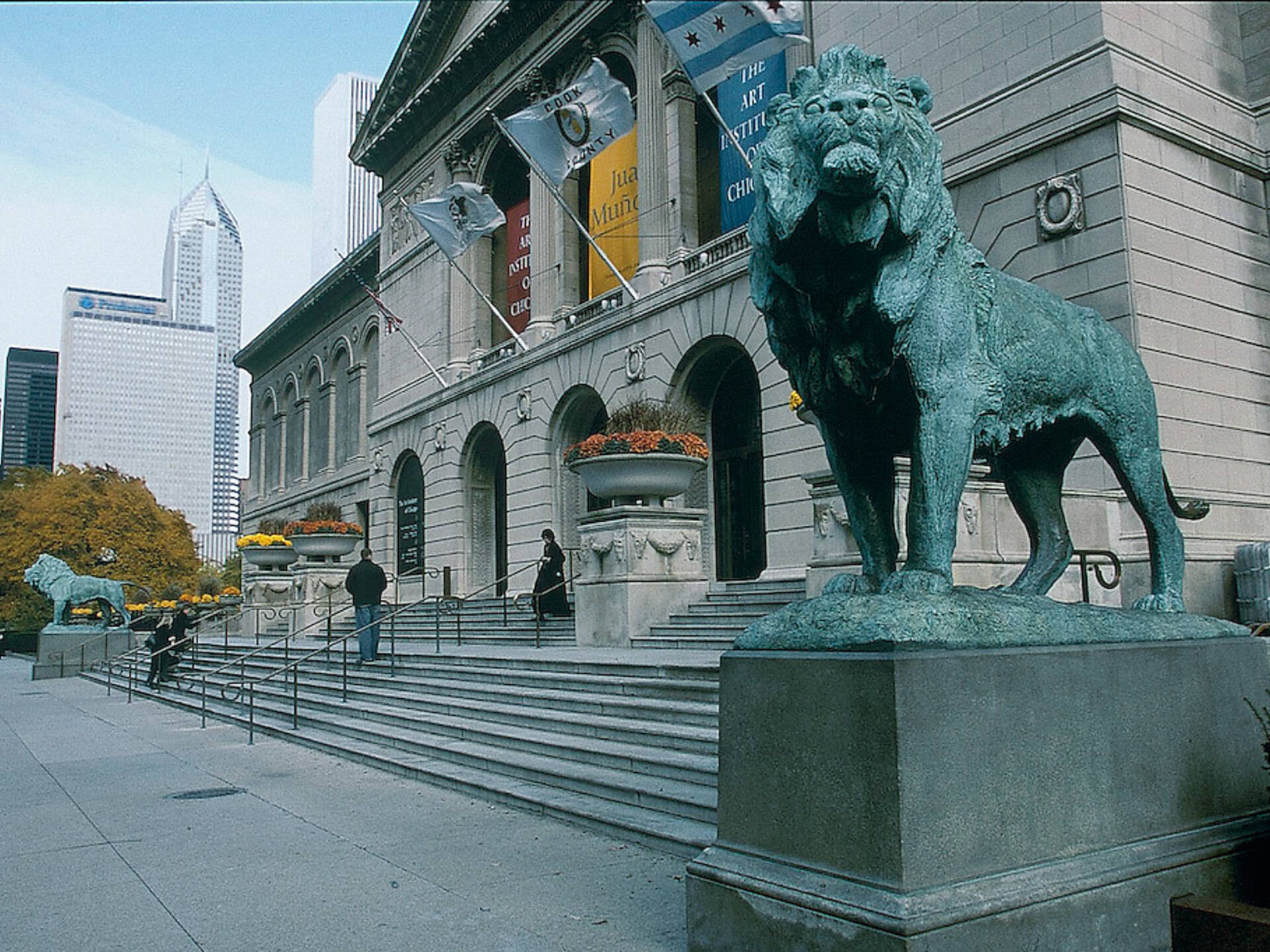 9 Free Things You Can Get With a Chicago Public Library Card