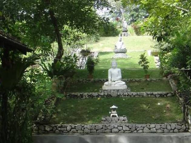 Bodhi Heart Sanctuary Bodhi Heart Sanctuary
