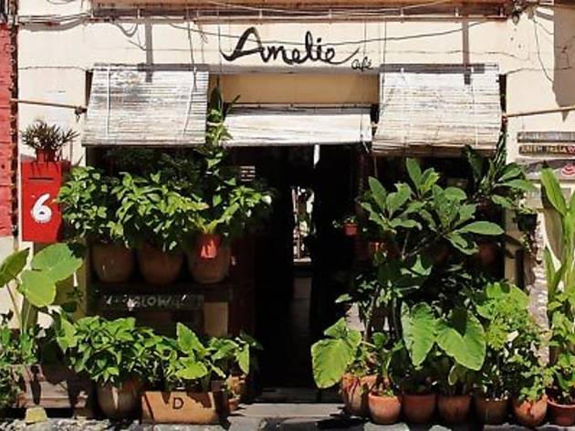 Amelie Café Amelie Café