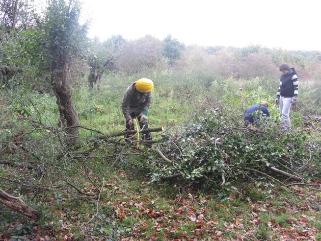 Bushcraft Skills, Epping Forest Bushcraft Skills, Epping Forest