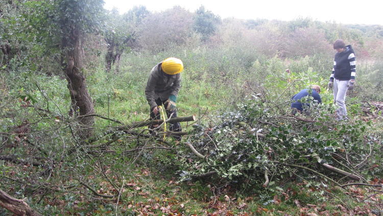 Bushcraft Skills, Epping Forest