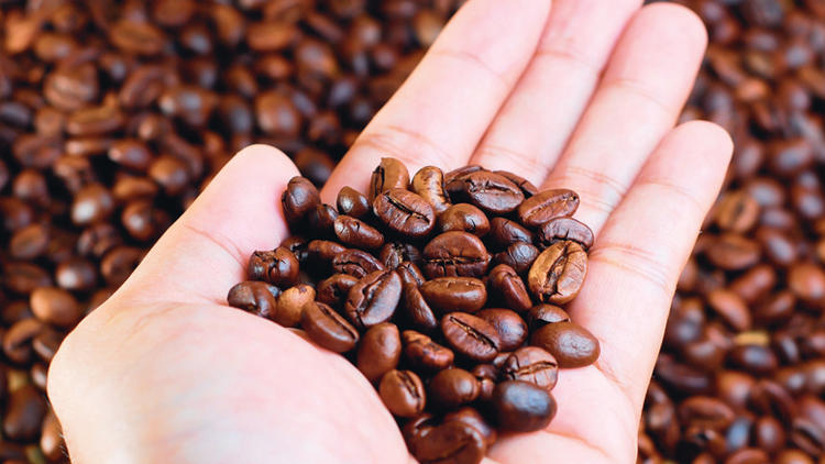 coffee beans