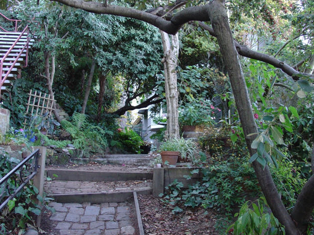 Climb a secret stairway Climb a secret stairway