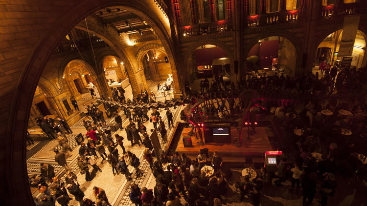 Natural History Museum Late