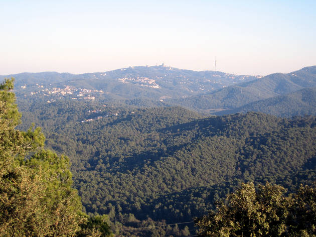 collserola collserola
