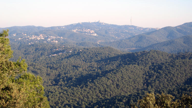 collserola