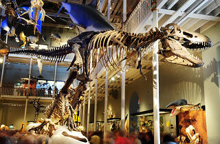 National Museum Of Scotland Maps The 11 Best Museums In Edinburgh