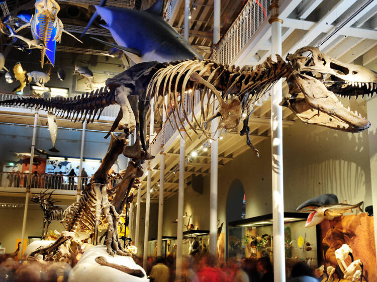 National Museum of Scotland, Edinburgh